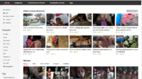 TamilSexZone